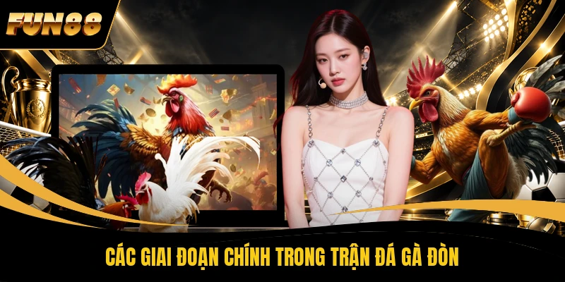 Các giai đoạn chính trong trận đá gà đòn