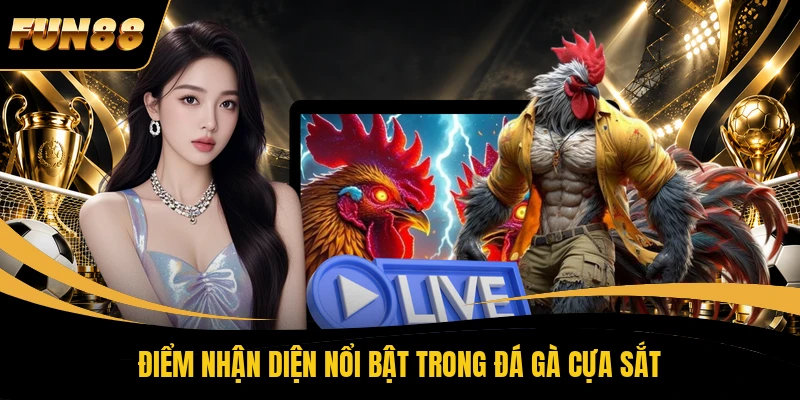 Điểm nhận diện nổi bật trong đá gà cựa sắt