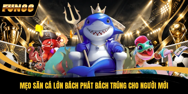 Mẹo săn cá lớn bách phát bách trúng cho người mới