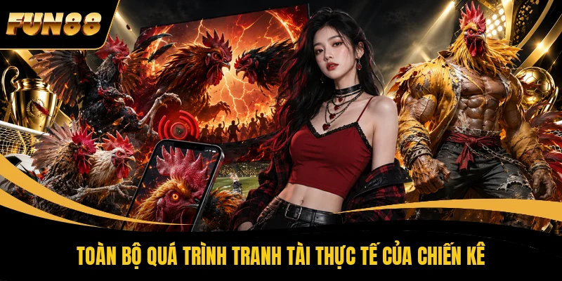 Toàn bộ quá trình tranh tài thực tế của chiến kê