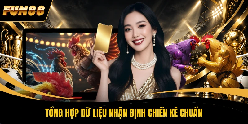 Tổng hợp dữ liệu nhận định chiến kê chuẩn