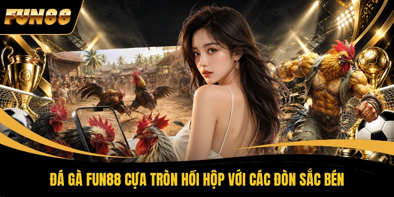 Đá gà FUN88 cựa tròn hồi hộp với các đòn sắc bén