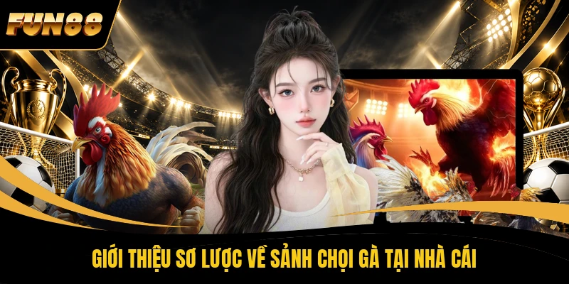 Giới thiệu sơ lược về sảnh chọi gà tại nhà cái